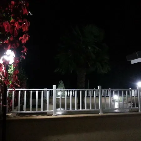 B&B Joy-2